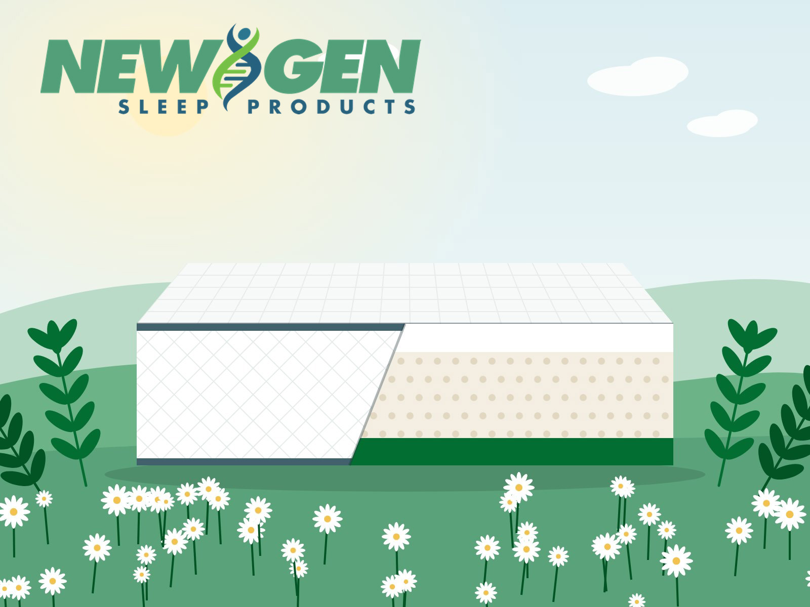 Cutaway illustration of a latex mattress in a field of daisies
